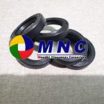Oil Seal 2