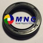 Oil Seal 3