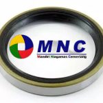 Oil Seal 1