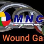 Spiral Wound Gasket 4
