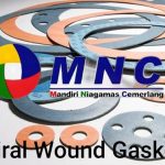 Spiral Wound Gasket 3